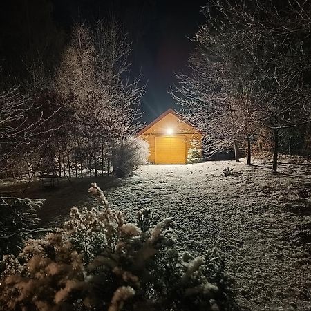 Villa Lupus - Apartament Z Prywatna Sauna Шклярска-Поремба Экстерьер фото