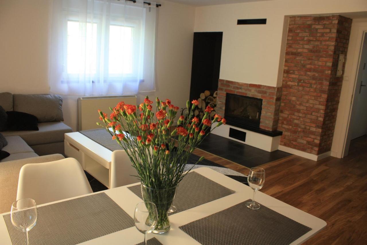 Villa Lupus - Apartament Z Prywatna Sauna Шклярска-Поремба Экстерьер фото