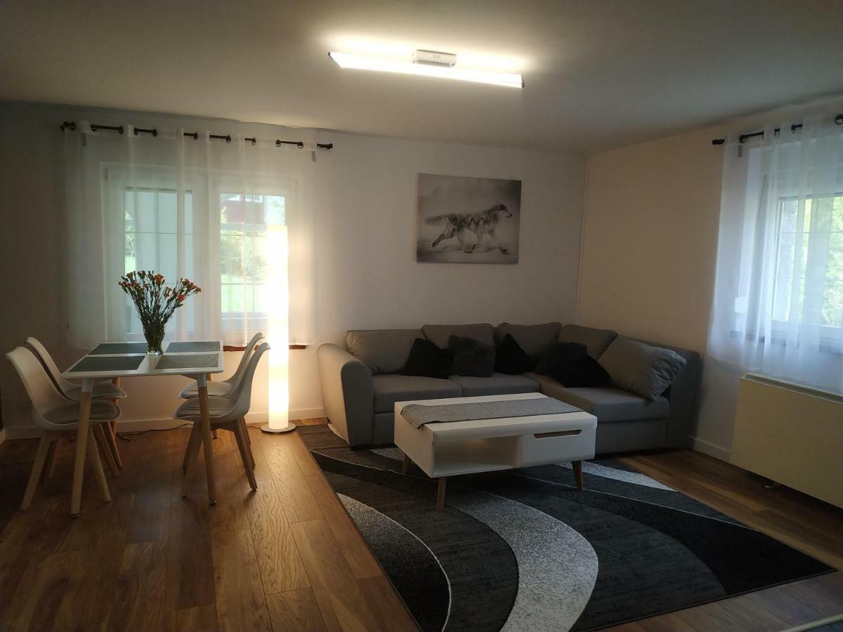 Villa Lupus - Apartament Z Prywatna Sauna Шклярска-Поремба Экстерьер фото